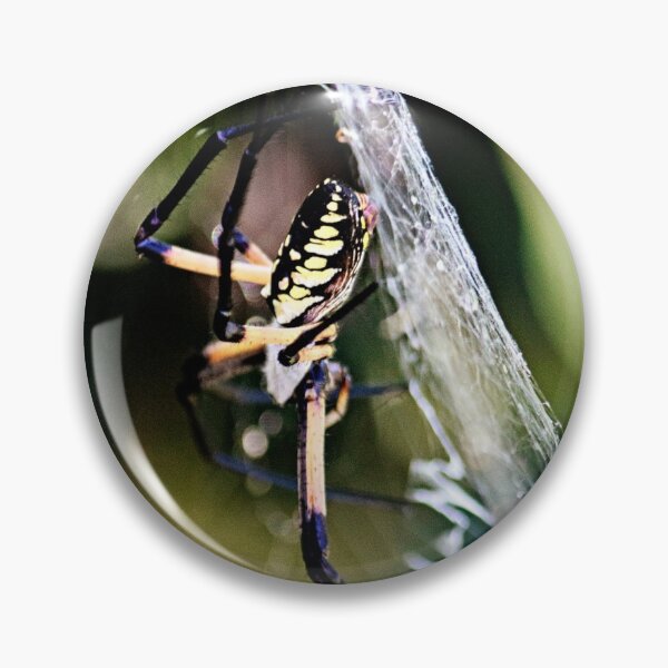 Item preview, Writing Spider designed and sold by bwatkinsphoto.