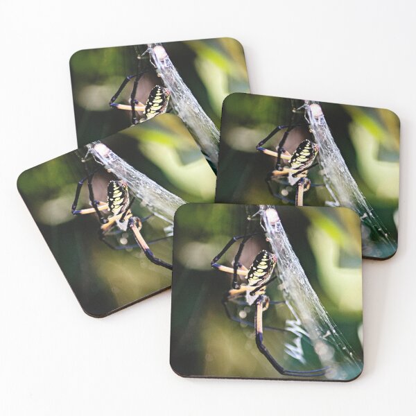 Item preview, Writing Spider designed and sold by bwatkinsphoto.