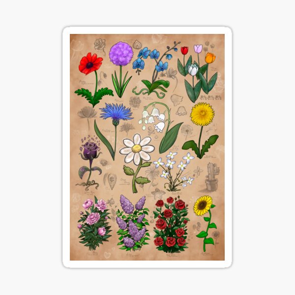 Pressed Flowers, The Firework, Multicolor