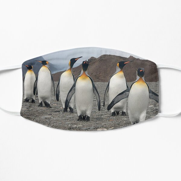 Antarctica Penguin Face Masks Redbubble - fat penguin body roblox