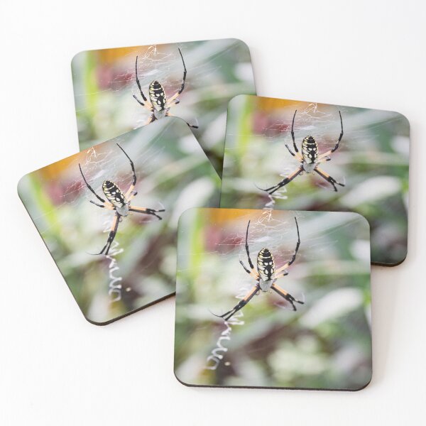 Item preview, Writing Spider designed and sold by bwatkinsphoto.