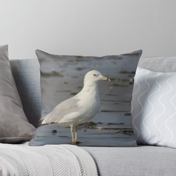 Item preview, Gansett Gull designed and sold by Autumn Seas Photography.