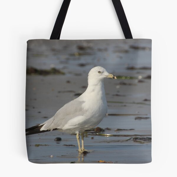 Item preview, Gansett Gull designed and sold by Autumn Seas Photography.