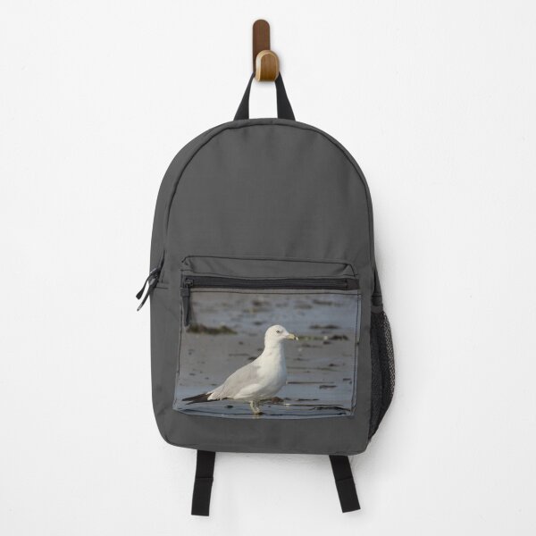 Item preview, Gansett Gull designed and sold by Autumn Seas Photography.