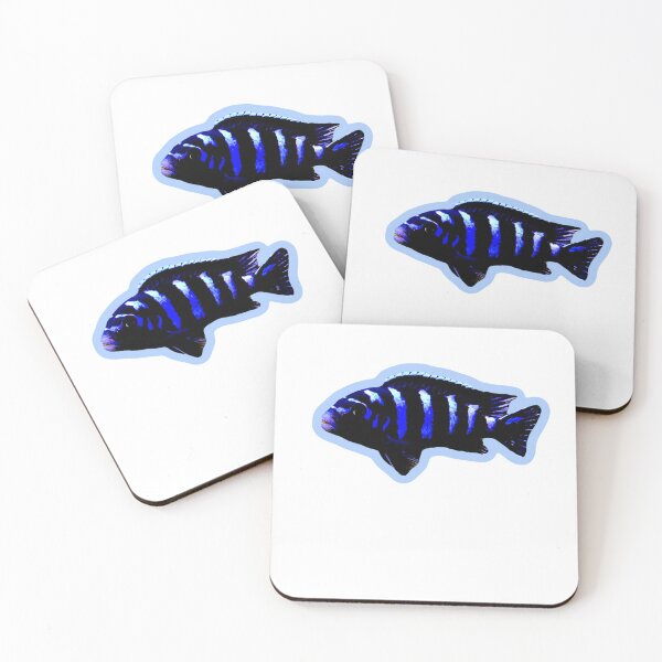Item preview, Beautiful African Cichlid designed and sold by J Bigglesworth.