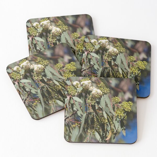 Item preview, Flowering gum designed and sold by MargsNaturePix.
