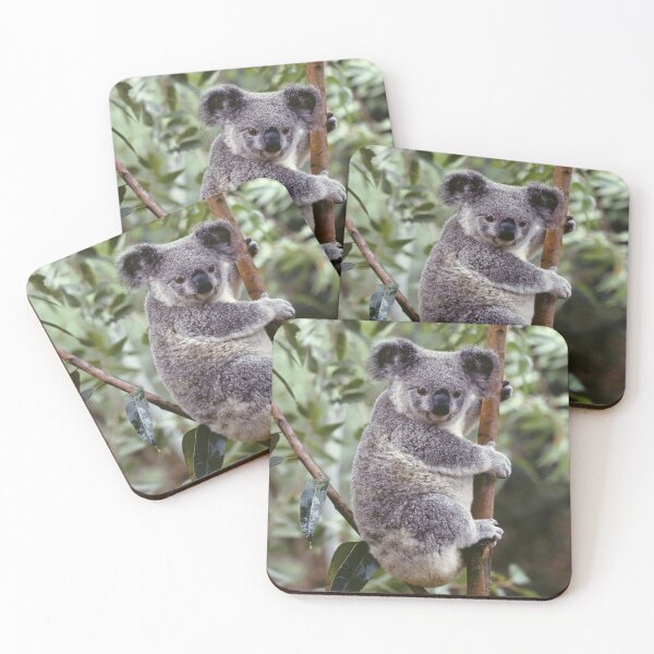 Item preview, Koala designed and sold by liftdesign.