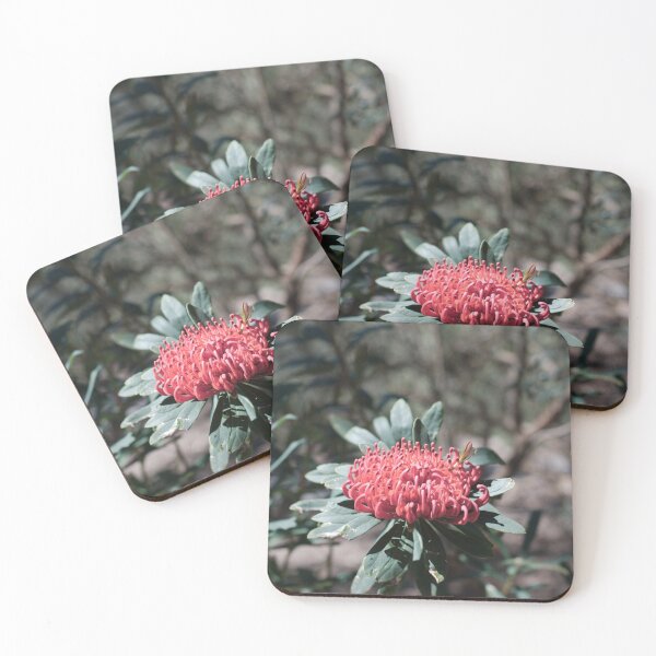 Item preview, Waratah designed and sold by notjustamwac.