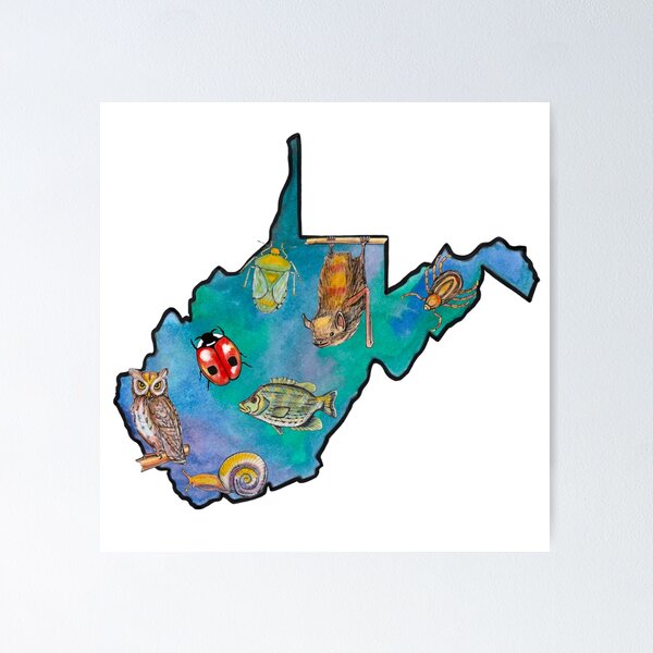 Item preview, West Virginia Wildlife Watercolor designed and sold by Rachel Kenaston.