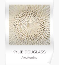 Kylie Douglass-Awakening (poster) Poster