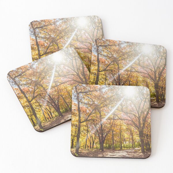 Item preview, Fall colors in forest with sun designed and sold by ZoeyPhotography.