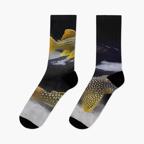 Item preview, L014 Sunshine Pleco Aquarium designed and sold by GFishy.
