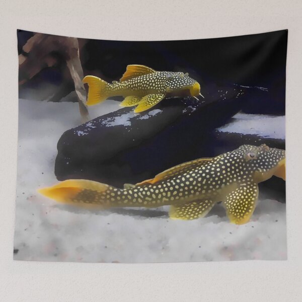 Item preview, L014 Sunshine Pleco Aquarium designed and sold by GFishy.
