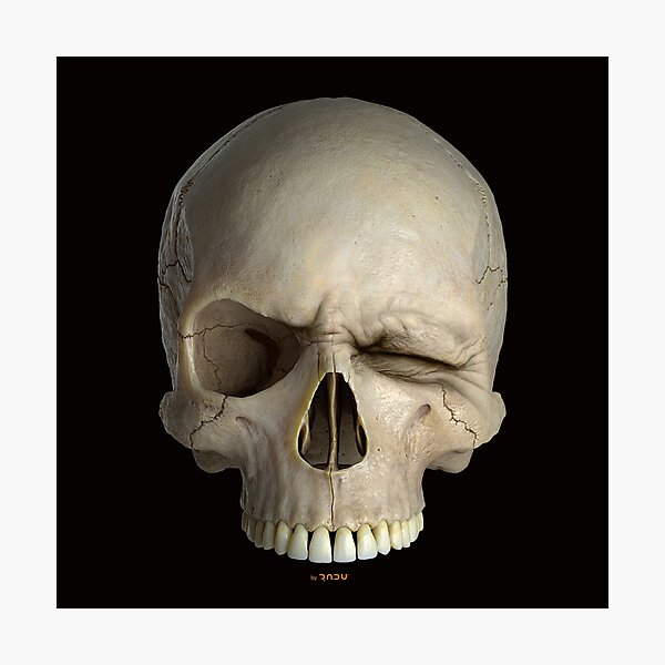 Artikelvorschau, SKULLWINK SKULL WINK 01-03 entworfen und verkauft von Radu-Gabriel.