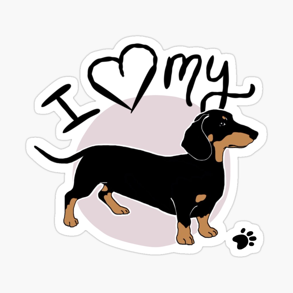 I love my store dachshund