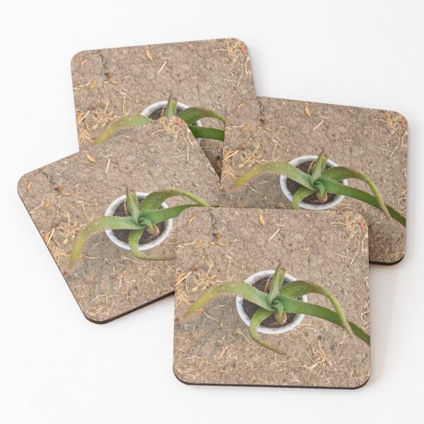 Item preview, Aloe Vera designed and sold by edwinvisuals.