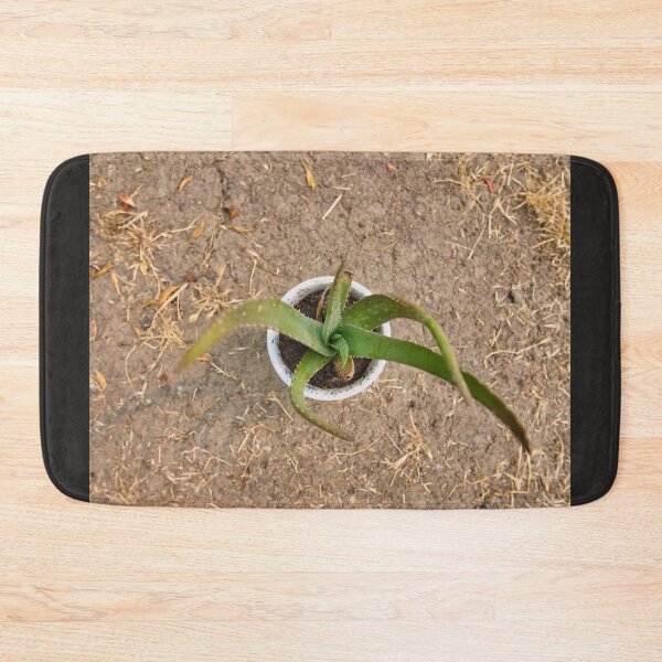 Item preview, Aloe Vera designed and sold by edwinvisuals.
