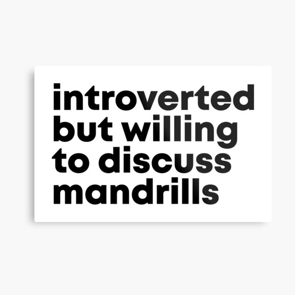 Introverted but willing to discuss Mandrills Metal Print