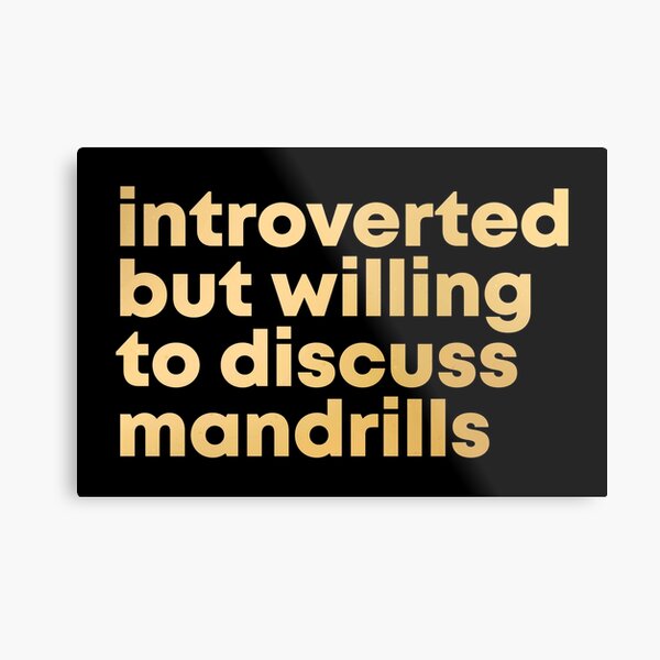 Introverted but willing to discuss Mandrills in Gold Metal Print