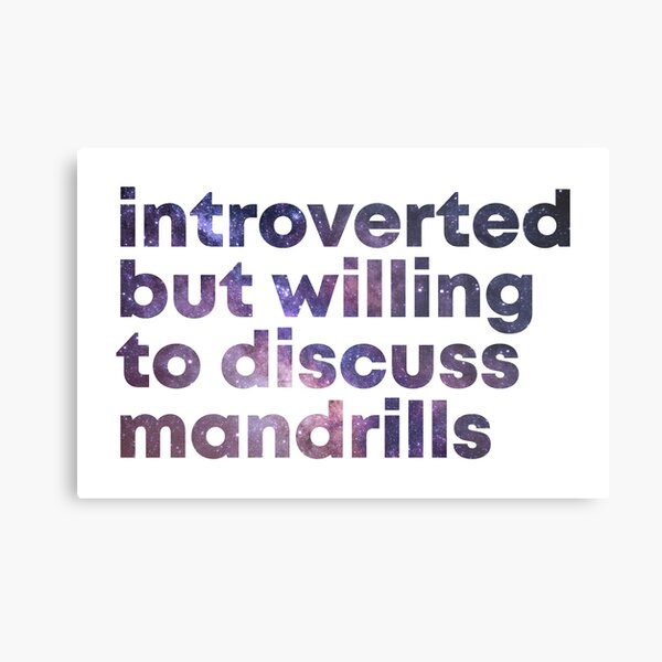 Introverted but willing to discuss Mandrills Metal Print