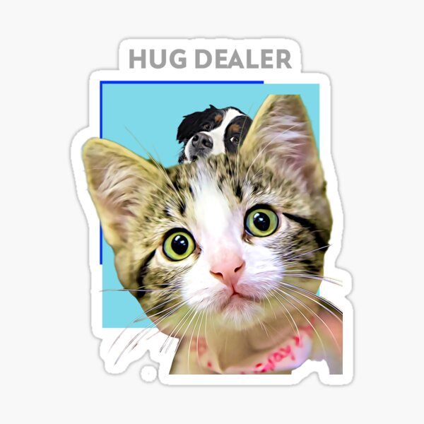 Hug Dealer Cat Shirt Hug Dealer Kitty Cat Meme