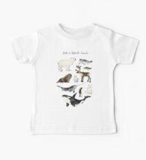 Arctic & Antarctic Animals Baby Tee