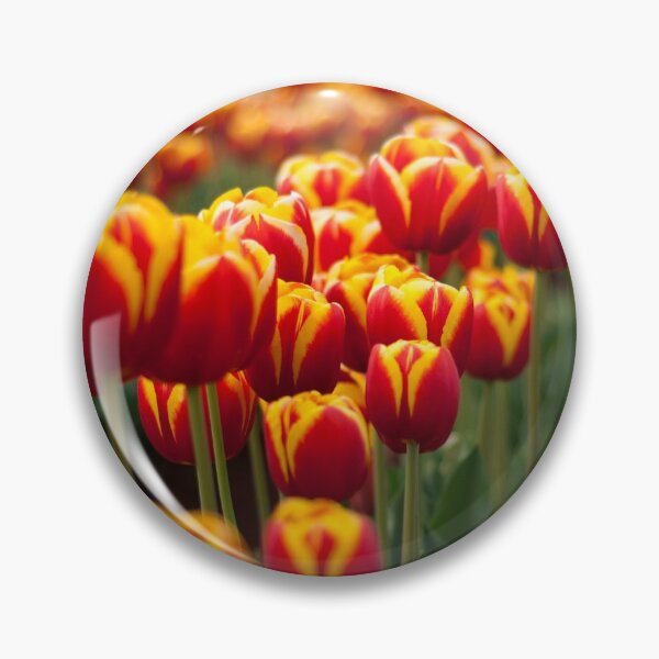 Item preview, Red Yellow Tulips designed and sold by ea-photos.