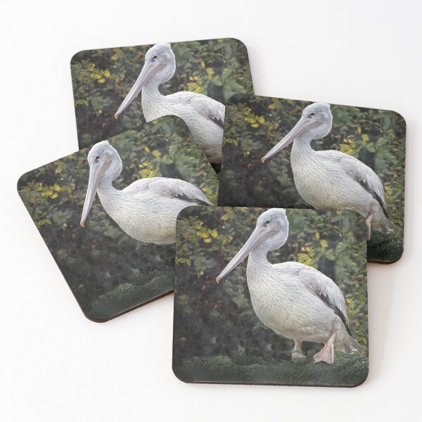 Item preview, Pink Backed Pelican, Pelecanus rufescens. designed and sold by Philip Butler.