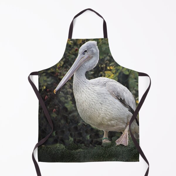 Item preview, Pink Backed Pelican, Pelecanus rufescens. designed and sold by Philip Butler.