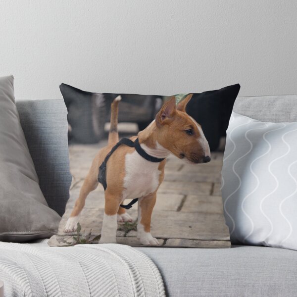 Aperçu de l'œuvre Chiot Bullterrier miniature créée et vendue par Semmi.
