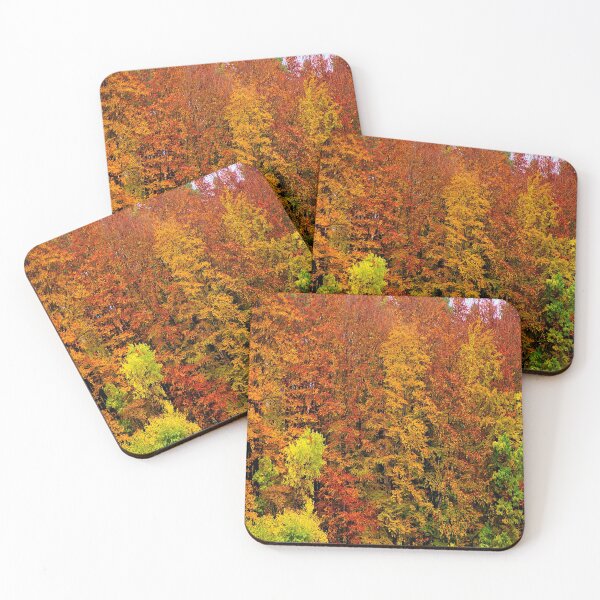 Item preview, Colorful autumn forest designed and sold by frankuffmann.