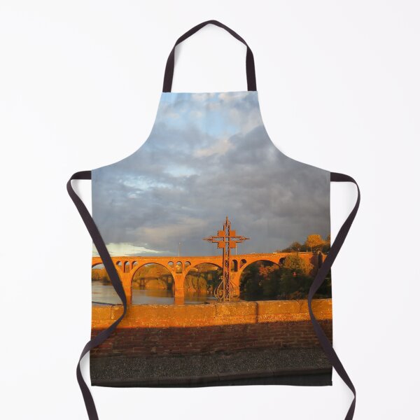 Item preview, vue du Pont-Vieux sur le pont neuf, Albi - France designed and sold by AHELENE.