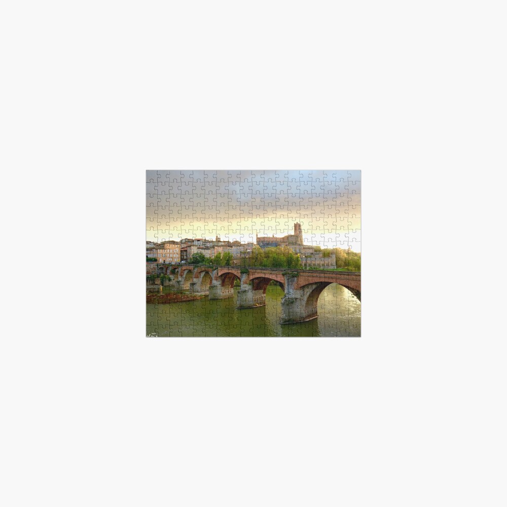 The city of Albi, France and the old bridge Jigsaw Puzzle