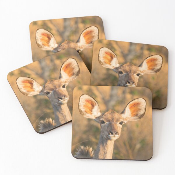 Item preview, Female Greater Kudu Portrait designed and sold by wazoosi.