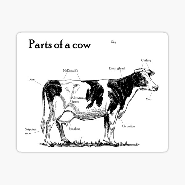 Parts of a cow Sticker