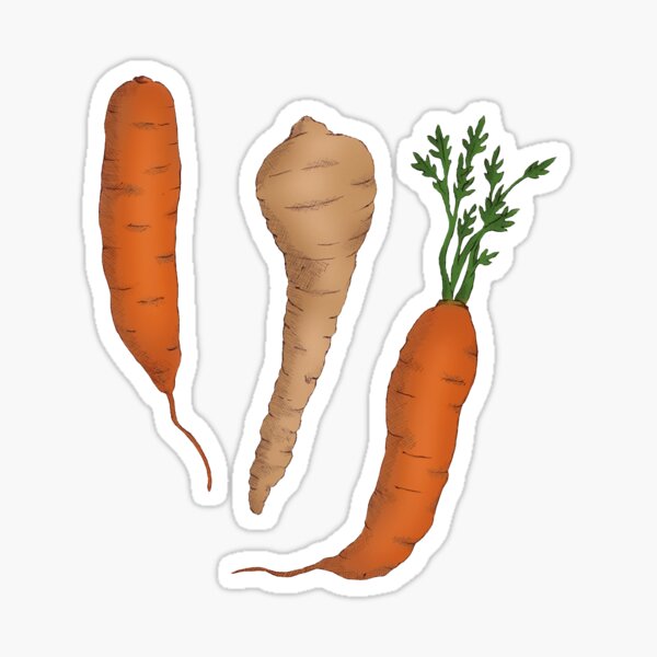 Carrots and Parsnip Sticker