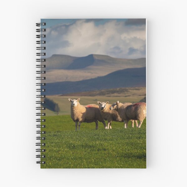 Item preview, Sheep on the Brecon Beacons designed and sold by Leighton Collins.