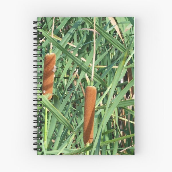 Item preview, Bullrushes Water Loving Plants designed and sold by AraljanFusion.