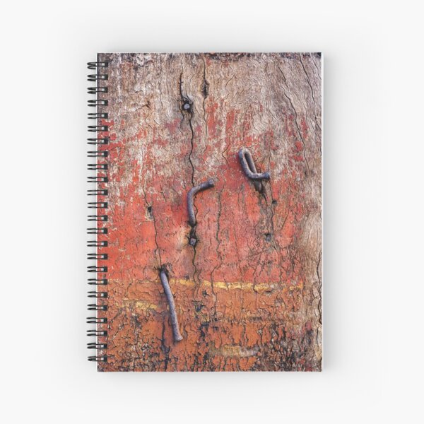 Old Nails and Flaking Paint Spiral Notebook