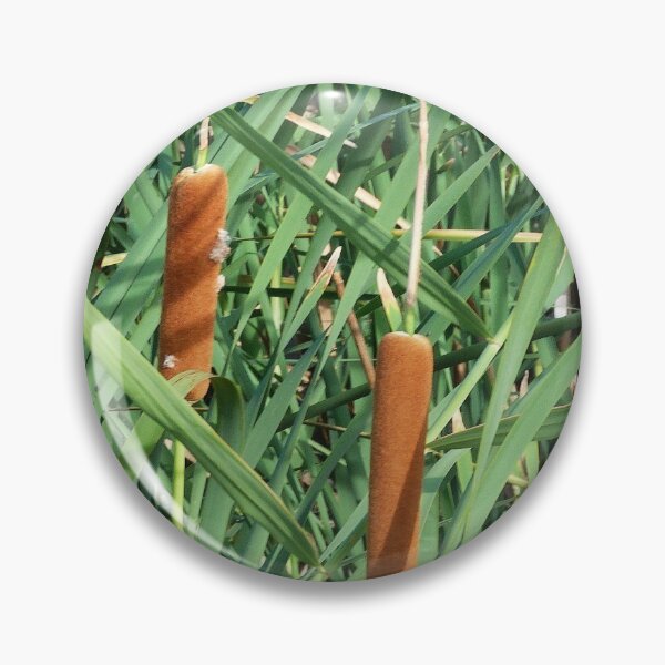 Item preview, Bullrushes Water Loving Plants designed and sold by AraljanFusion.