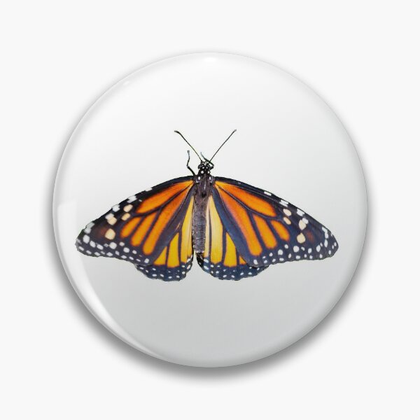 Item preview, Monarch Butterfly Sticker designed and sold by rmcgowan-studio.