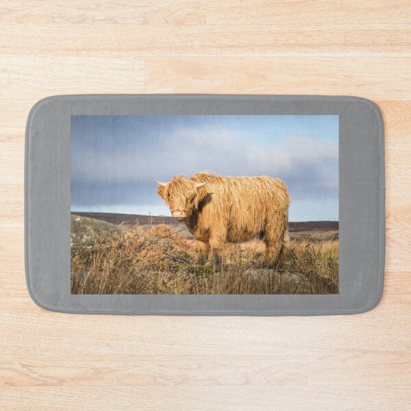 Item preview, Windswept Highland Cow designed and sold by Jane Stanley Photography.