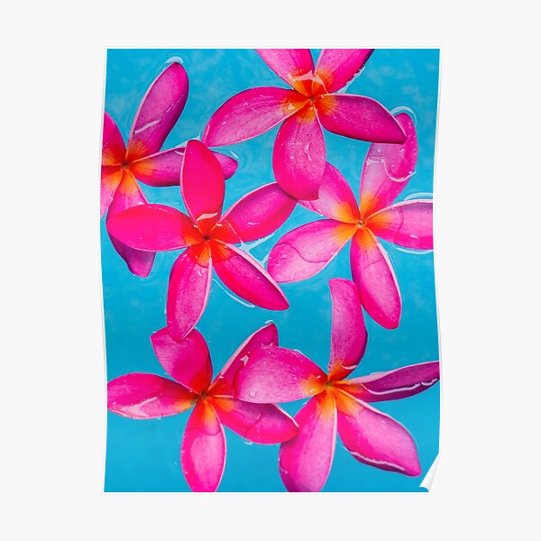 Hot Pink Poster