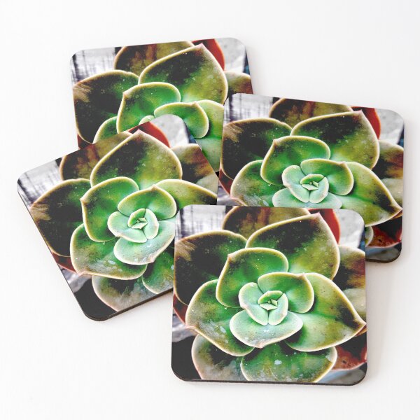 Item preview, Succulent Spiral designed and sold by Geoff Treagus.