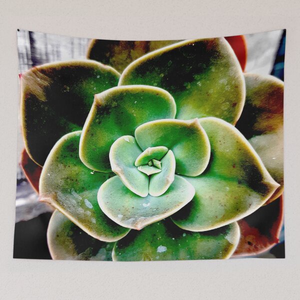 Item preview, Succulent Spiral designed and sold by Geoff Treagus.