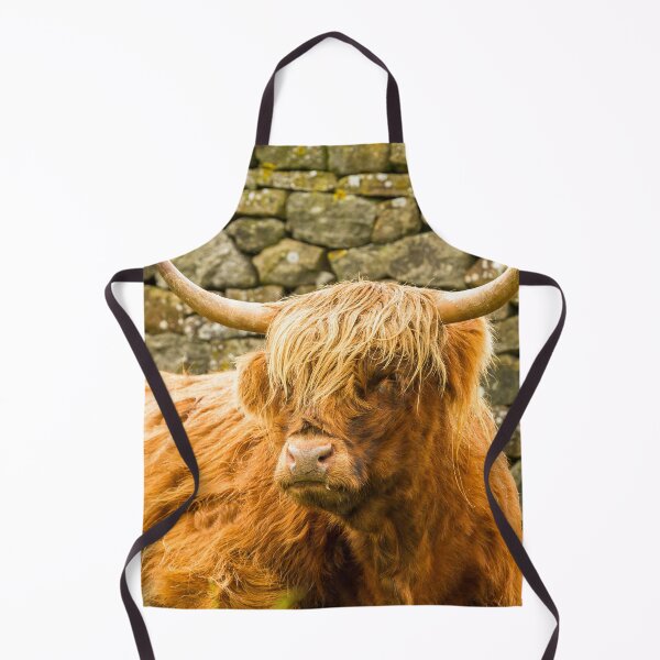 Item preview, Highland Cow and Dry Stone Wall designed and sold by Jane Stanley Photography.