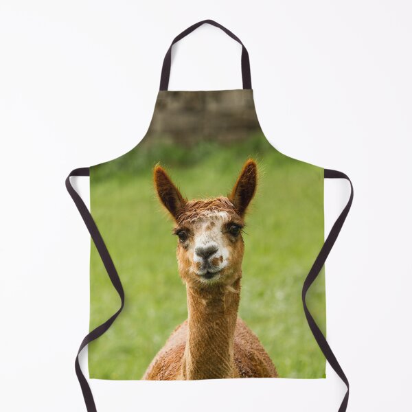 Item preview, Llama Portrait designed and sold by Jane Stanley Photography.