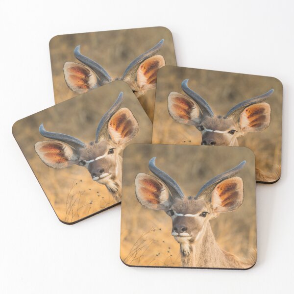 Item preview, Female Greater Kudu with Horns designed and sold by wazoosi.