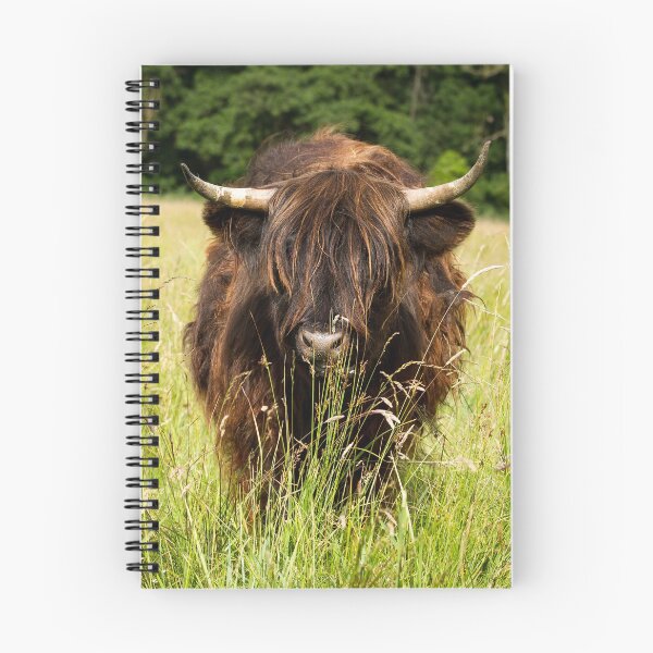 Item preview, Brown Highland Cow designed and sold by Jane Stanley Photography.