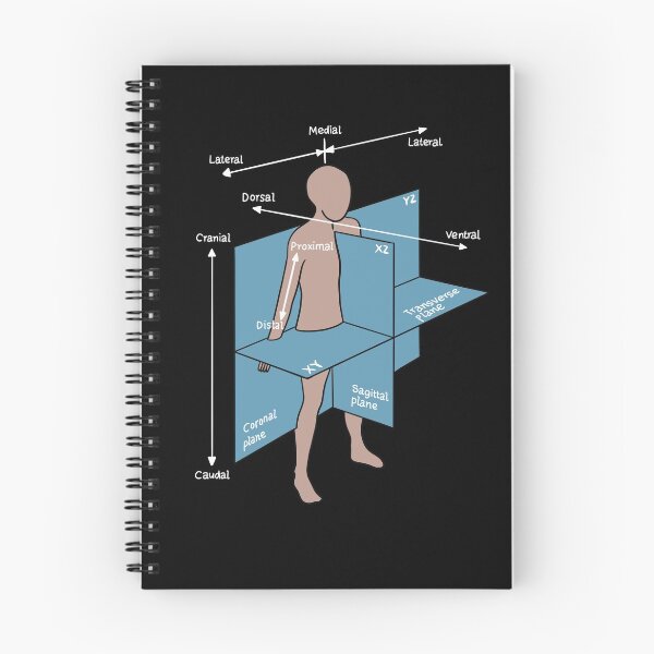 Item preview, Dorsal Ventral Planes Of Human Body - Nurse Or Physician designed and sold by HiddenVerb.
